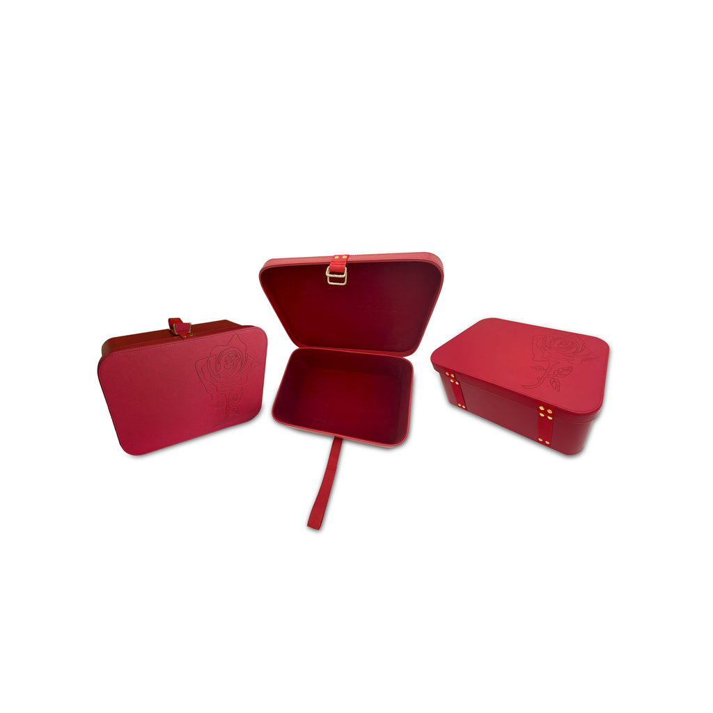 faux leather red rose carry-on bag and storage case pics all angles
